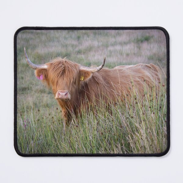 Item preview, The beautiful Highland Cow designed and sold by Leighton Collins.
