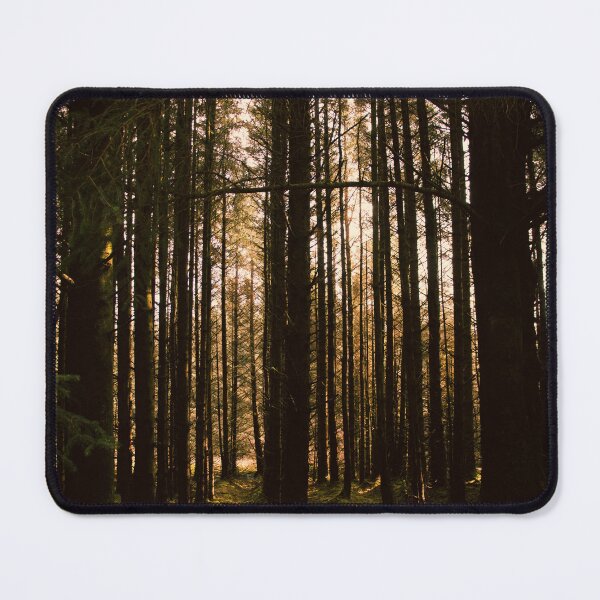 Item preview, Sunset Woodland Photo designed and sold by SofiaAlves.