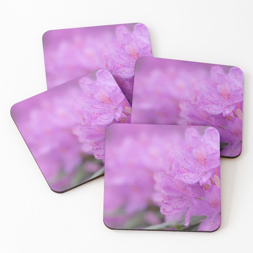 Item preview, Coasters (Set of 4) designed and sold by SitandRelax.