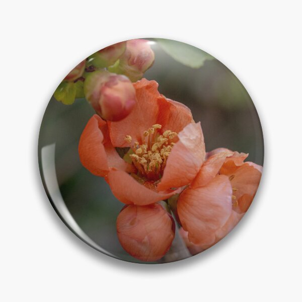 Item preview, Spring Blossoms designed and sold by SitandRelax.