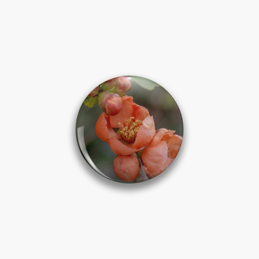 Item preview, Pin designed and sold by SitandRelax.