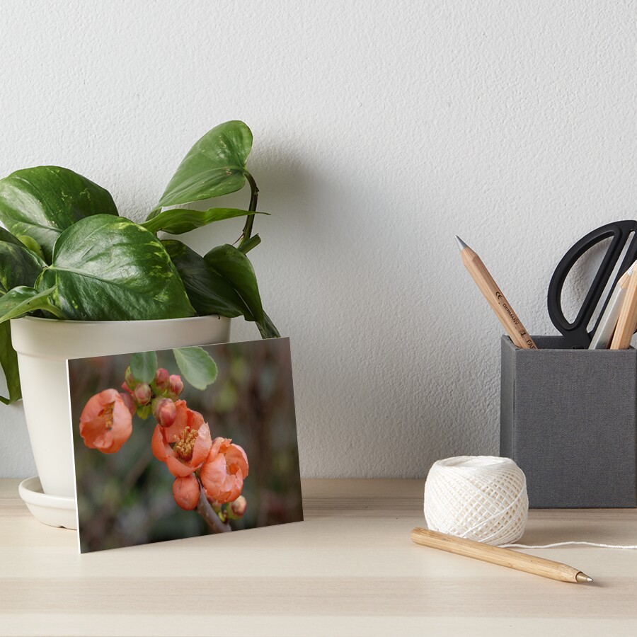 Item preview, Art Board Print designed and sold by SitandRelax.