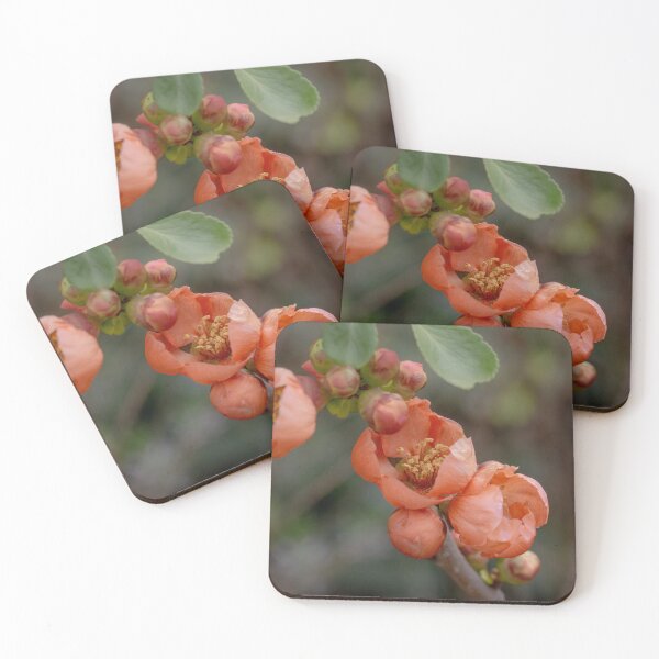 Item preview, Spring Blossoms designed and sold by SitandRelax.