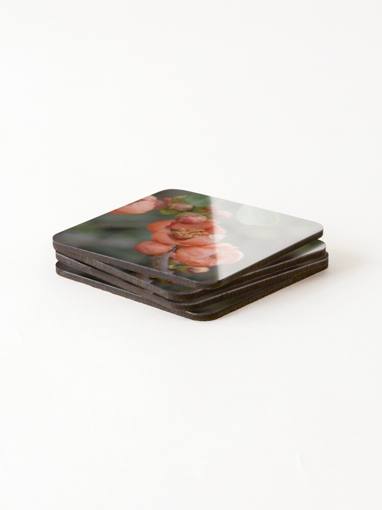 Thumbnail 4 of 5, Coasters (Set of 4), Spring Blossoms designed and sold by SitandRelax.