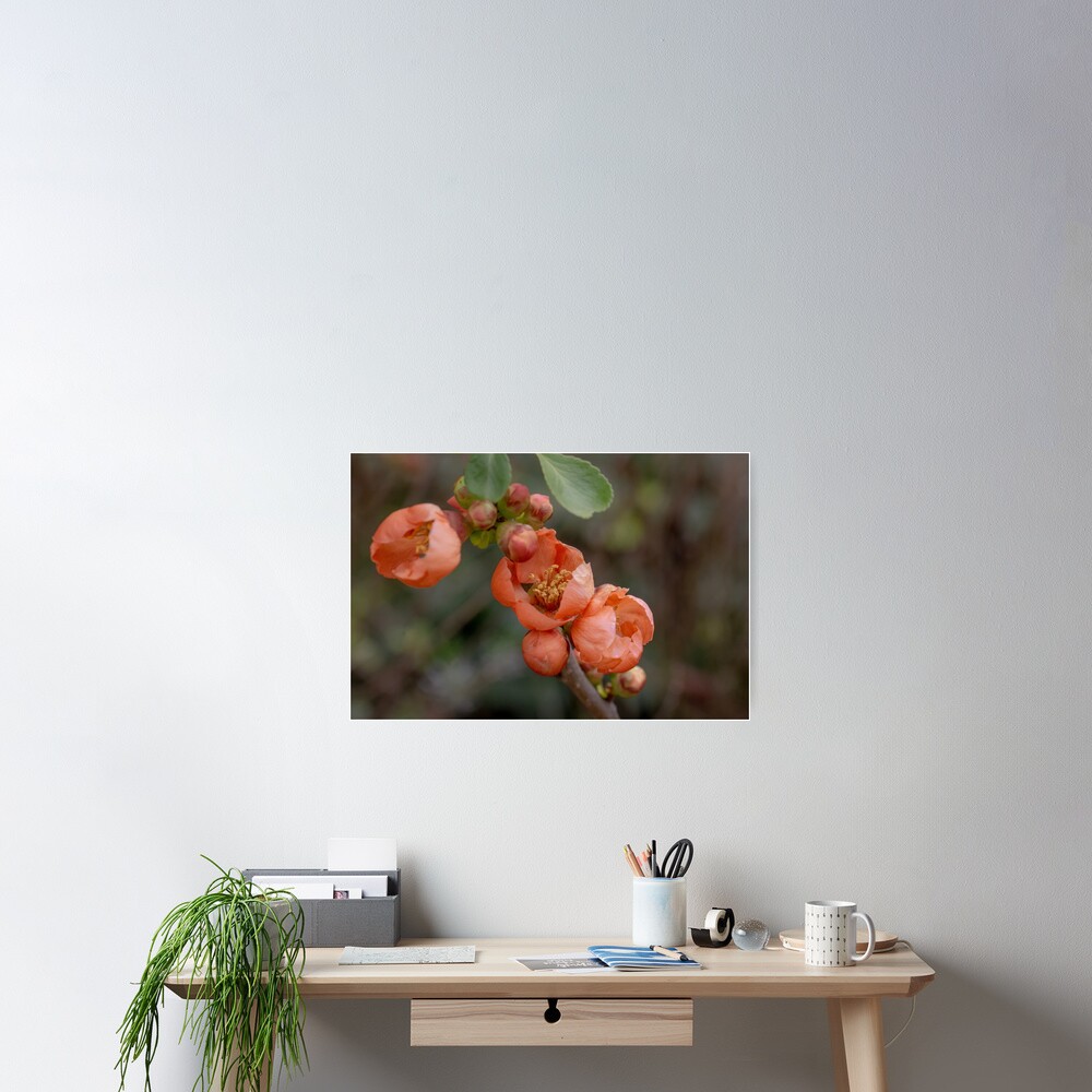 Item preview, Poster designed and sold by SitandRelax.