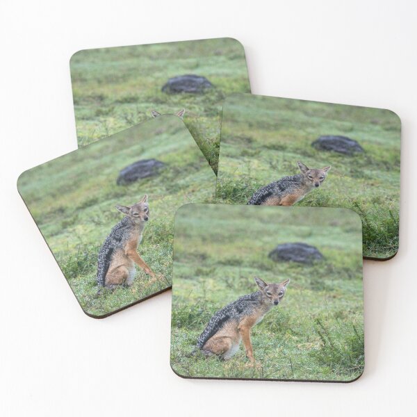 Item preview, Golden Jackal Ngorongoro designed and sold by ArcticPolyglots.