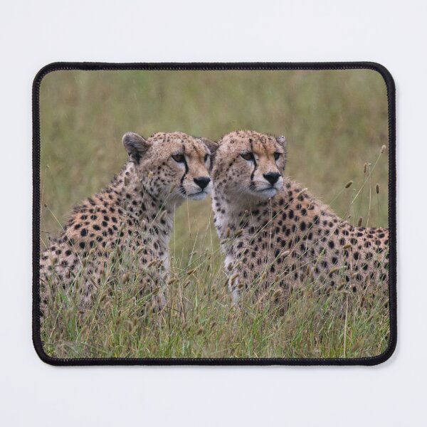 Item preview, Cheetah couple Serengeti designed and sold by ArcticPolyglots.