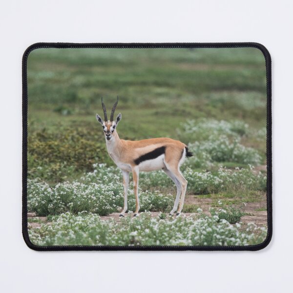 Item preview, Thomson's Gazelle Serengeti designed and sold by ArcticPolyglots.