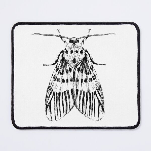 Item preview, Moth Graphic Illustration designed and sold by Habiba Hasan.