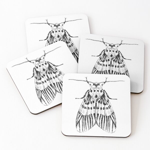 Item preview, Moth Graphic Illustration designed and sold by Habiba Hasan.