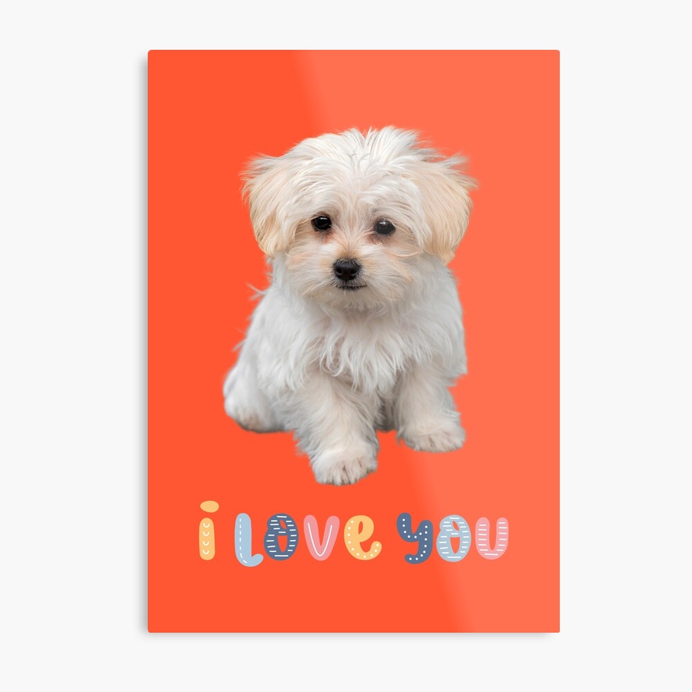 Cute puppy i love hot sale you