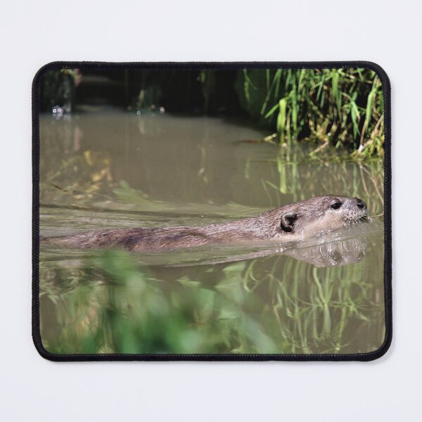 Item preview, Swimming Otter designed and sold by Fearless-Fox.