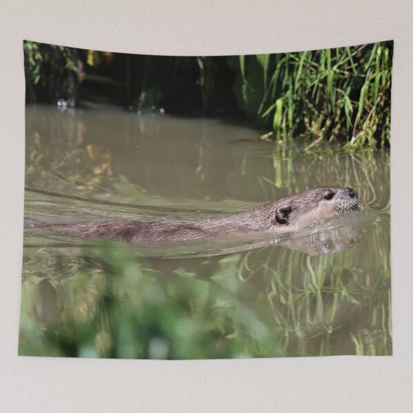 Item preview, Swimming Otter  designed and sold by Fearless-Fox.