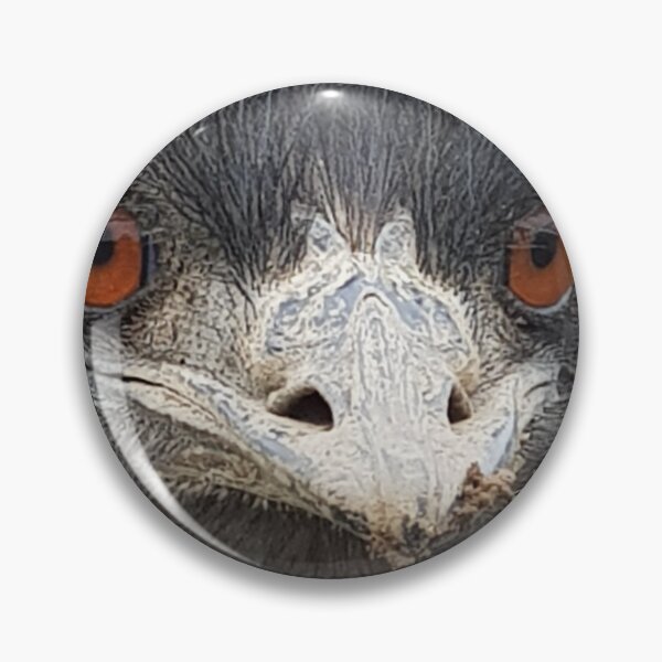 Item preview, Bird brain designed and sold by mandy-11.