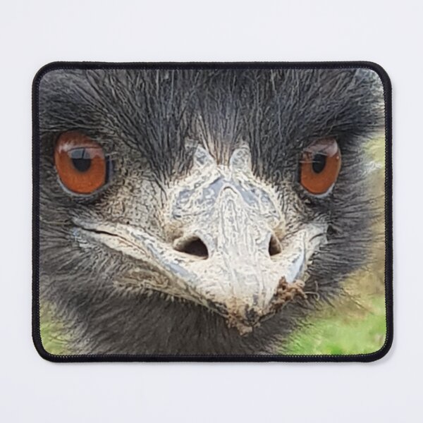 Artikelvorschau, Vogelgehirn entworfen und verkauft von mandy-11.