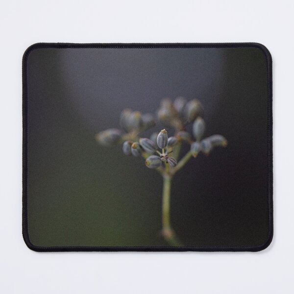 Item preview, Seed Fennell designed and sold by auroraovan.