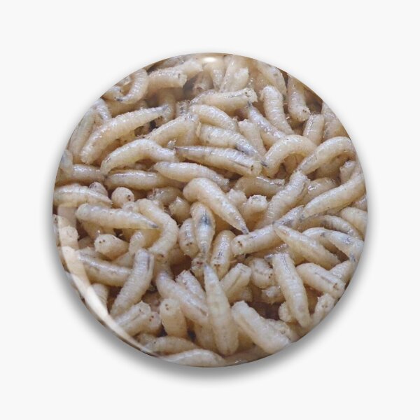 Item preview, Maggots fishing bait designed and sold by mary02.
