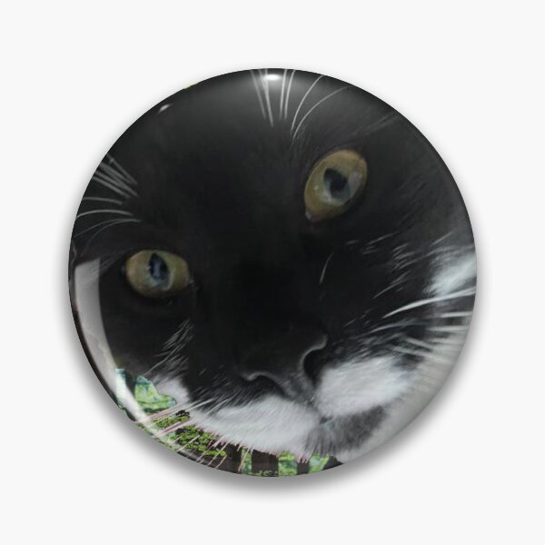 Item preview, Zack the cat RIP designed and sold by Bunnybarbell.