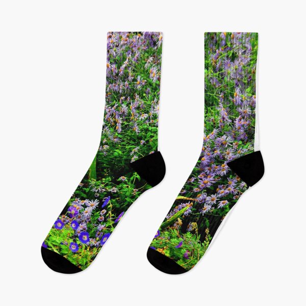 Item preview, Regent's Park Gardens London England designed and sold by AndyEvansPhotos.
