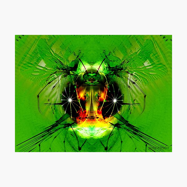 Welcome to the Machine Photographic Print
