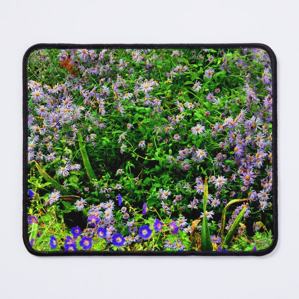Item preview, Regent's Park Gardens London England designed and sold by AndyEvansPhotos.