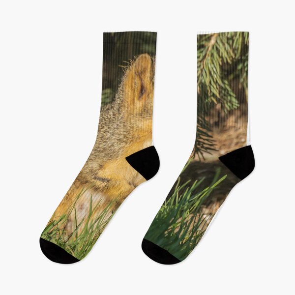 Item preview, A Squirrel Looking Around In A Safe Place designed and sold by FreelanceJim.