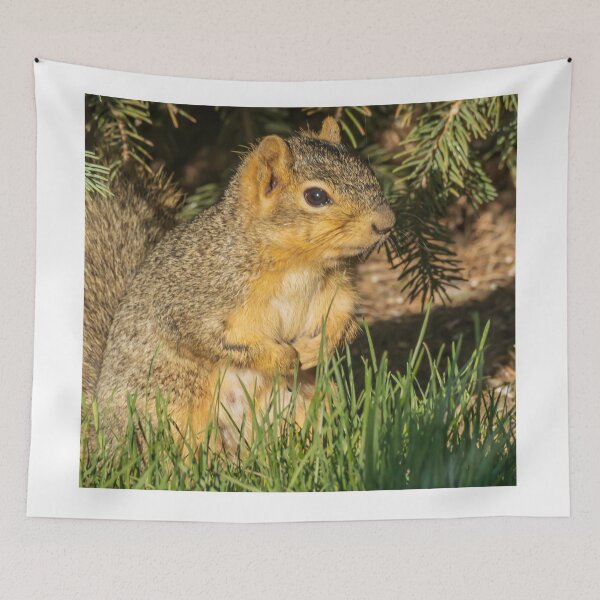 Item preview, A Squirrel Looking Around In A Safe Place designed and sold by FreelanceJim.