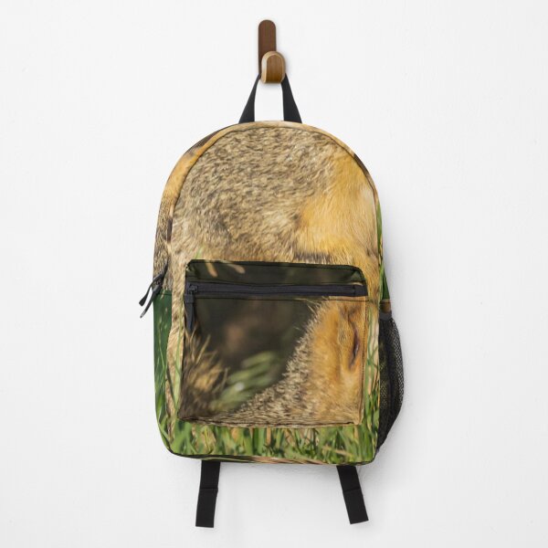 Item preview, A Squirrel Looking Around In A Safe Place designed and sold by FreelanceJim.