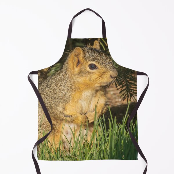 Item preview, A Squirrel Looking Around In A Safe Place designed and sold by FreelanceJim.