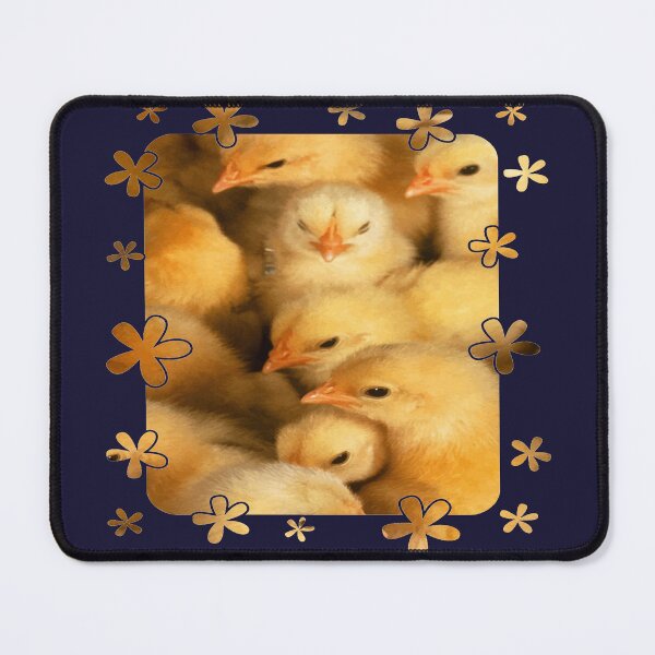 Item preview, Clutch of Cute Yellow Fluffy Chicks With Decorative Border designed and sold by taiche.