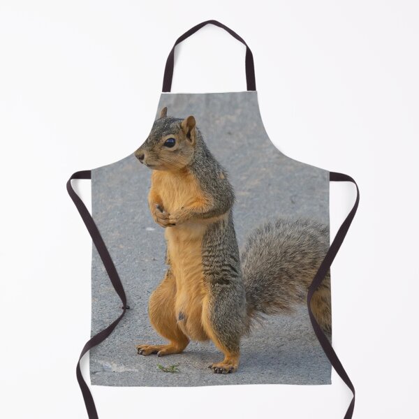 Item preview, Squirrel Standing On His HInd Legs designed and sold by FreelanceJim.