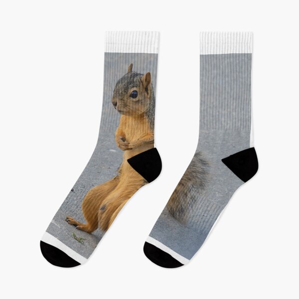 Item preview, Squirrel Standing On His HInd Legs designed and sold by FreelanceJim.