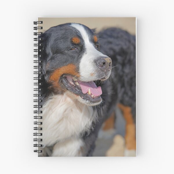 Item preview, Close Up retrato de Bernese Mountain Dog designed and sold by AlbertandOlly.
