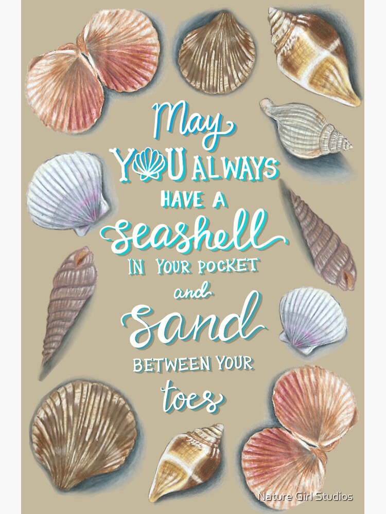 Florida Seashells Naturalist Watercolor Sticker for Sale by Nature Girl  Studios