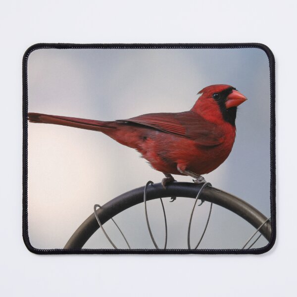 Item preview, Mr. Cardinal designed and sold by utakloss.