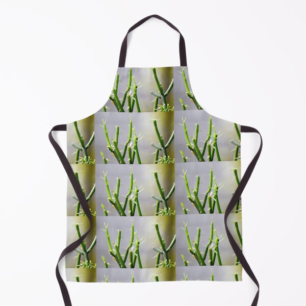 Item preview, Snap of beautiful decorative Plant designed and sold by Rav33822.