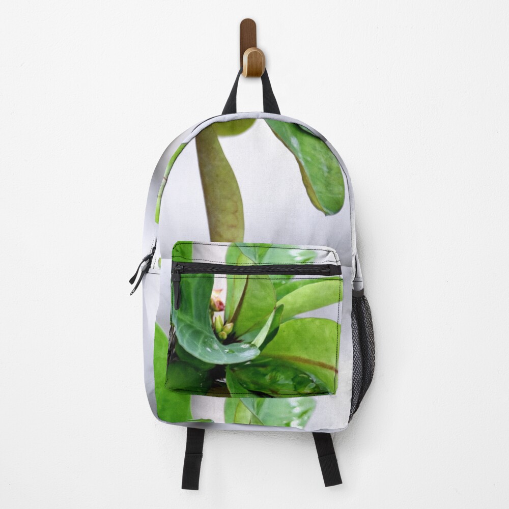 Artikel-Vorschau von Rucksack, designt und verkauft von Rav33822.
