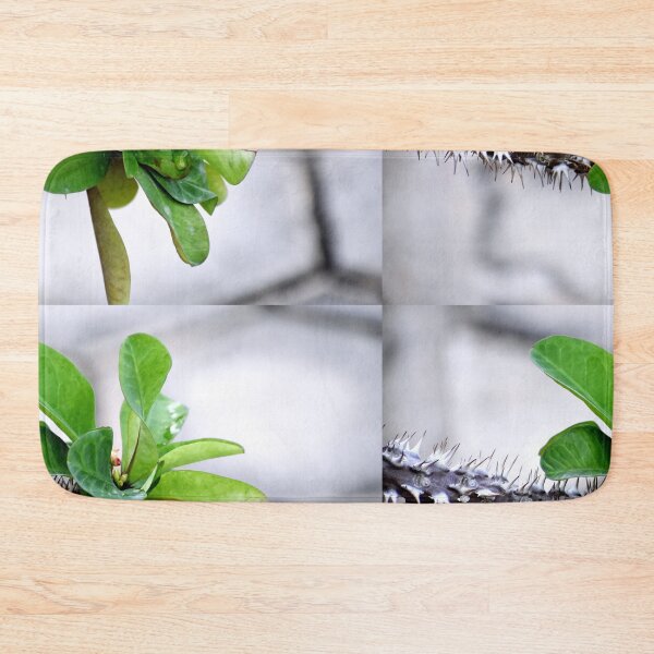 Item preview, Snap of beautiful decorative Plant designed and sold by Rav33822.
