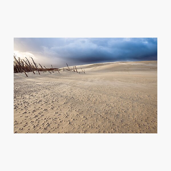 Item preview, Dynamic Dunes: Captivating Sands by the Polish Sea designed and sold by Visual-Elixir.
