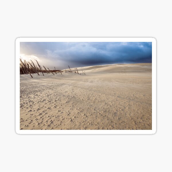 Item preview, Dynamic Dunes: Captivating Sands by the Polish Sea designed and sold by Visual-Elixir.