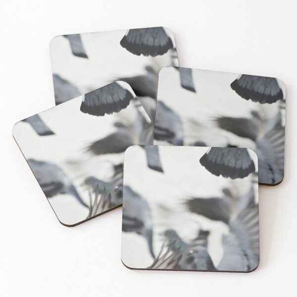 Item preview, A Group of Pigeons designed and sold by Rav33822.