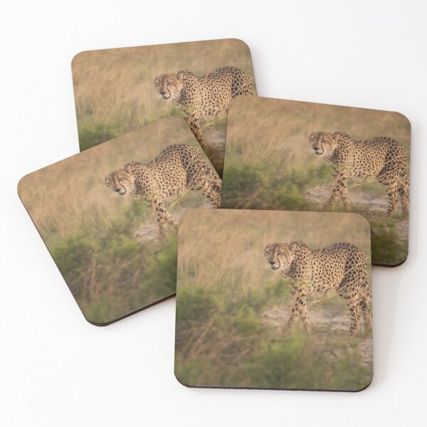 Item preview, Cheetah on the Prowl Botswana Africa designed and sold by PhotoArt by Joan Carroll.