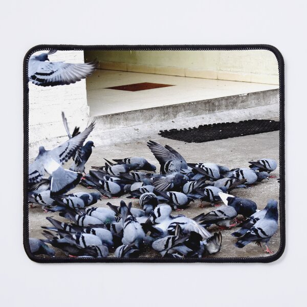 Item preview, A Group of Pigeons designed and sold by Rav33822.