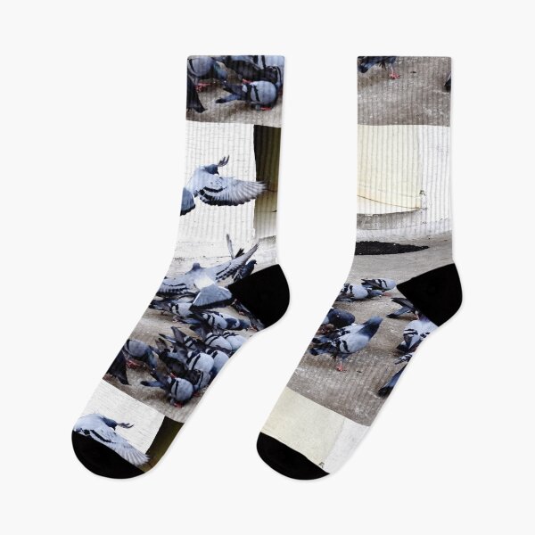 Item preview, A Group of Pigeons designed and sold by Rav33822.