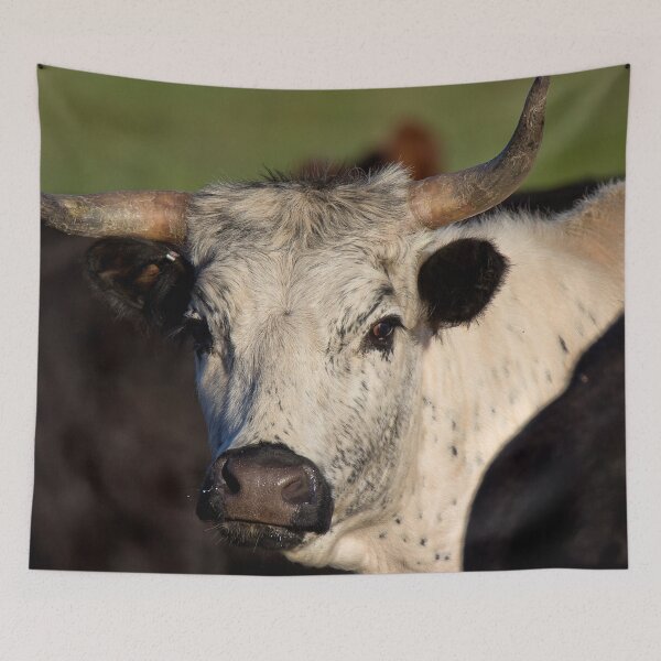 Item preview, 406 - Montana Young and Curious Cow designed and sold by Gilby-Designs.