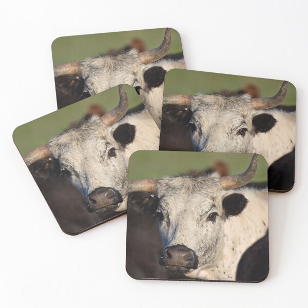 Item preview, 406 - Montana Young and Curious Cow designed and sold by Gilby-Designs.