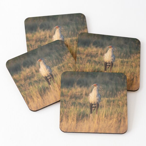 Item preview, Secretary Bird Botswana Africa designed and sold by PhotoArt by Joan Carroll.