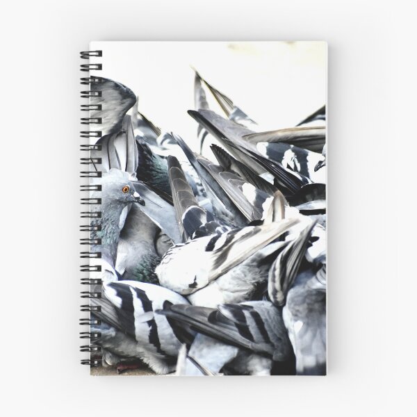 Item preview, A Group of Pigeons designed and sold by Rav33822.