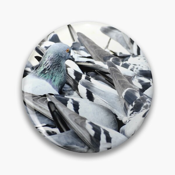 Item preview, A Group of Pigeons designed and sold by Rav33822.