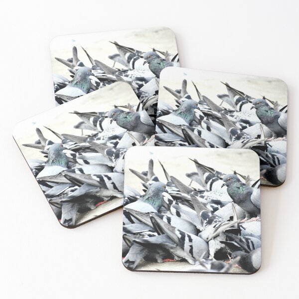 Item preview, A Group of Pigeons designed and sold by Rav33822.